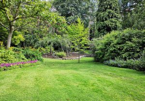 Optimiser l'expérience du jardin à Boussay