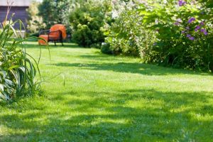 travaux jardin et paysage Boussay